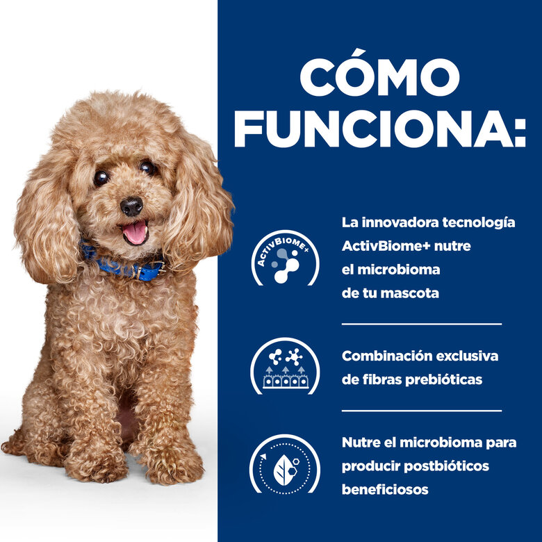 Hill's Prescription Diet Gastrointestinal Biome Mini pienso para perros, , large image number null